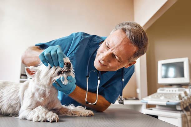 Best Emergency Tooth Extraction in Aberdeen, MD